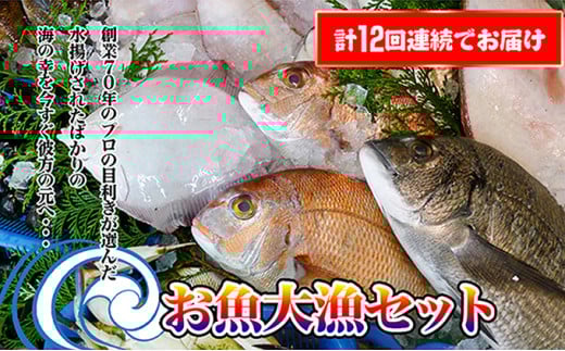 ［頒布会12回］瀬戸内海産の海産物の詰め合わせ（下処理ナシ）