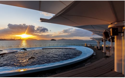 四国水族館　夜間全館貸切利用＜2時間＞［限定20組］