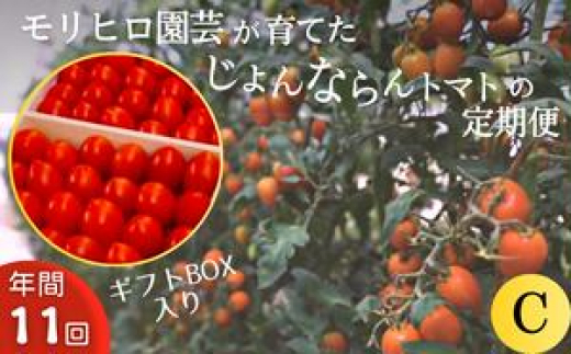 モリヒロ園芸が育てたじょんならんトマトの定期便C ギフトボックス入り(年間11回)