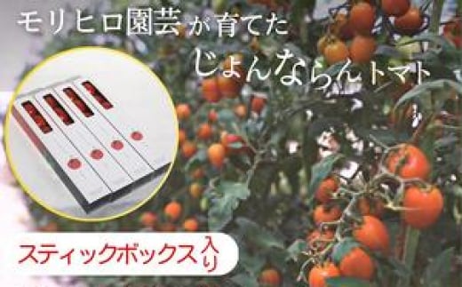 モリヒロ園芸が育てたじょんならんトマト(スティックボックス入り)