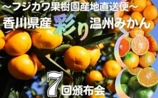 【7回頒布会】~フジカワ果樹園産地直送便~香川県産・彩り温州みかんセット