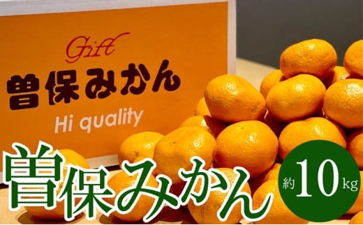 最高峰!三豊市の「曽保みかん」約10kg