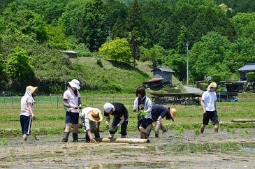 （３）地域資源をいかし、名張の産業をはぐくみます。