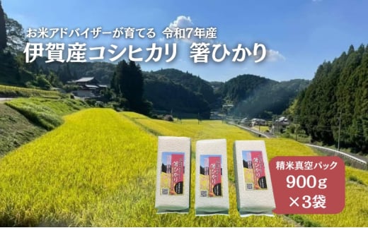 先行販売!令和7年度産 伊賀産コシヒカリ 極上 箸ひかり(精米真空パック)900g×3袋 コシヒカリ 3年連続 特A 米 こしひかり ご飯 ごはん 白米 精米 三重県 名張市