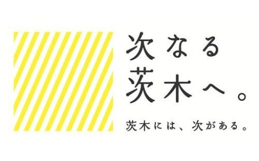 1.市政に関する事業（市長におまかせ）