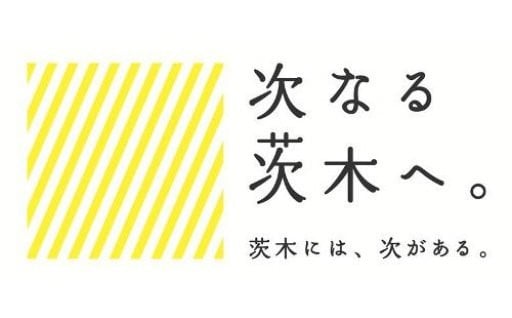 9.対話「対話重視で公平公正な市政運営」