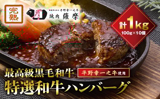 特選和牛〈焼肉薩摩 完熟平野幸一之牛〉ハンバーグ10個_ハンバーグ 和牛 特選 黒毛和牛 1kg 10個 冷凍 人気 おすすめ 送料無料 贈答 ギフト プレゼント【1014403】