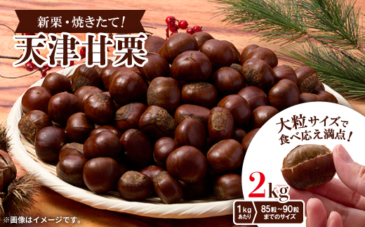 ＜2kg＞新栗ビックサイズ!!焼きたて!!天津甘栗　大粒サイズ　期間限定でお届けします。_ 栗 くり 甘栗 天津甘栗 おやつ スイーツ 焼きたて 甘い 菓子 お菓子 マロン 常温 送料無料 人気 おすすめ お取り寄せ 大粒 新栗 限定【1510517】