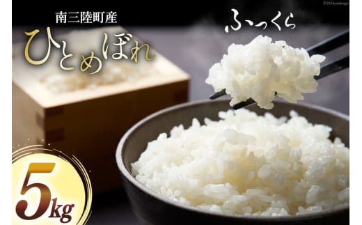 米 南三陸町産 ひとめぼれ 5kg [南三陸さんさんマルシェ 宮城県 南三陸町 30ai0072] お米 ブランド米 精米 ご飯 ごはん コメ こめ 小分け 家庭用