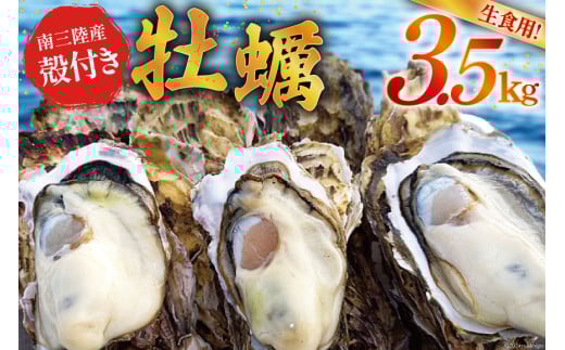 【期間限定発送】 牡蠣 南三陸志津川産 殻付き牡蠣 3.5kg 20個前後 [南三陸牡蠣倶楽部 宮城県 南三陸町 30ao0001] カキ かき 生牡蠣 魚貝類 生牡蠣 貝 海鮮 魚介類 オイスター カキフライ カキ鍋 アヒージョ 魚介 期間限定 冷蔵 新鮮 濃厚