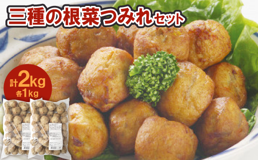 三種の根菜つみれ 1kg×2パック 合計2kg【1637087】