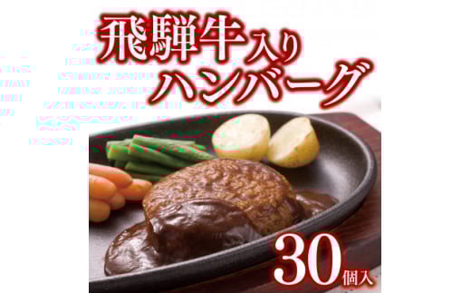 飛騨牛入りハンバーグ30個セット【1304879】