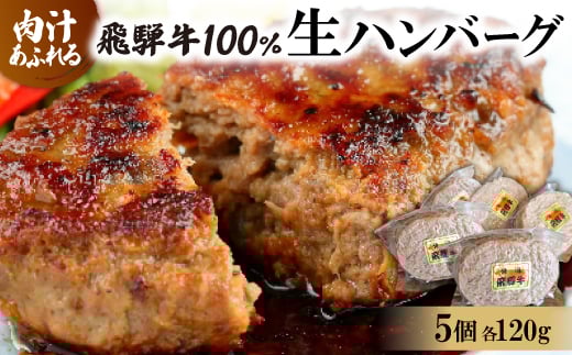 飛騨牛100%生ハンバーグ　120g×5個【1519624】