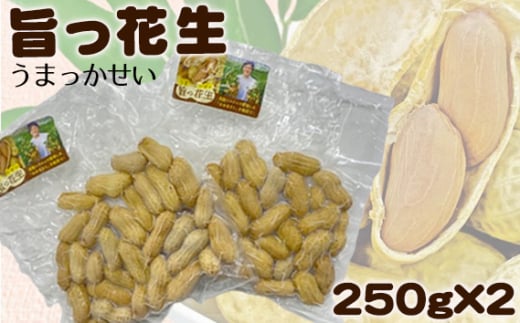 旨っ花生 500g / 落花生 ピーナッツ 豆 茹で豆 おおまさり 大粒 歯ごたえ 甘み 海水塩 おいしい 急速冷凍 簡単 手軽 おつまみ おやつ こだわり 埼玉県 No.178