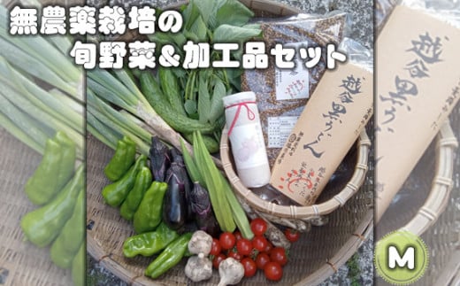 無農薬栽培の旬野菜&加工品セット M / 野菜 やさい 旬 新鮮 採れたて 産地直送 直送 お取り寄せ 安全 安心 地元 オーガニック野菜 季節野菜 旬野菜 詰合せ 循環農業 埼玉県 No.053