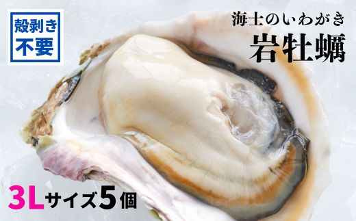 【殻剥き不要】海士のいわがき 殻なし巨大3Lサイズ×5個(1.6kg~2kg)