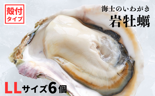【いわがき殻付き LLサイズ 6個】 岩牡蠣 生食可 冷凍 牡蛎 牡蠣 かき カキ 岩牡蠣 いわがき 冷凍 御歳暮 ギフト 12月24日までのご注文で年内発送