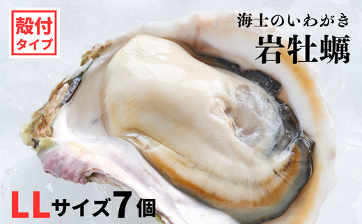 【いわがき殻付き LLサイズ 7個】岩牡蠣 生食可 冷凍 牡蛎 牡蠣 かき カキ 岩牡蠣 いわがき 冷凍 父の日 母の日 バーベキュー ギフト
