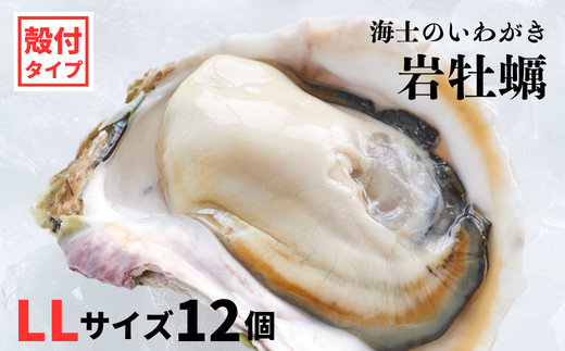 【いわがき殻付き LLサイズ 12個】岩牡蠣 生食可 冷凍 牡蛎 牡蠣 かき カキ 岩牡蠣 いわがき 冷凍 父の日 母の日 バーベキュー ギフト