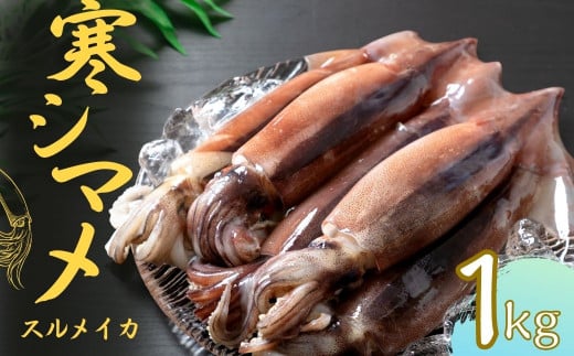 【朝どれスルメイカ丸ごと5本】寒シマメ スルメイカ 1kg 冷凍 刺身 個包装 捌き方説明書付き( いか 烏賊 イカ スルメ 母の日 父の日)