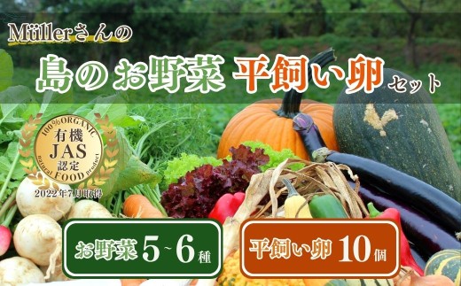 季節の野菜詰め合わせ(5~6種)と平飼い卵セット!農薬不使用だから安心安全!