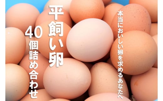平飼い卵詰め合わせ!40個セット