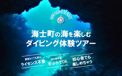 【離島で潜ろう!】海士町ダイビング体験(ボートダイビング)