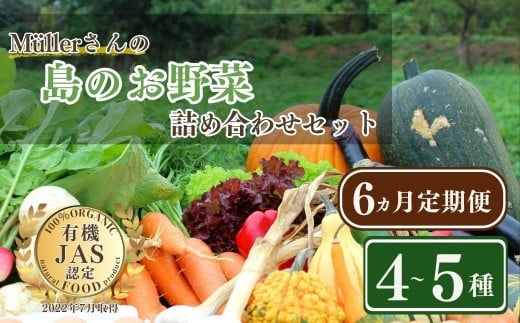 【季節の野菜 定期便6ヵ月】採れたて!旬のお野菜定期便 新鮮 採れたて 産地直送 旬野菜 朝採れ 有機野菜 年末年始 鍋 お正月 お歳暮 御歳暮 ギフト 定期便