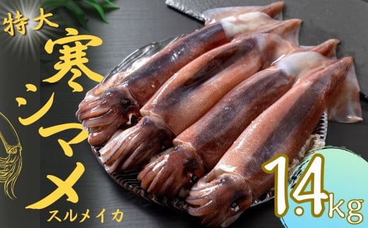 【朝どれ寒シマメ 特大サイズ 4～5杯】1.4kg〜1.6kg  いか イカ スルメイカ 寒シマメ 朝どれ寒シマメ 御歳暮 ギフト 12月24日までのご注文で年内発送