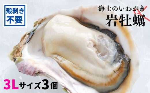 [のし付き]海士のいわがき 殻なし巨大3Lサイズ×3個(960g〜1.2kg)殻剥き不要