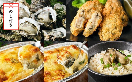 [のし付き]いわがき三昧セット 生牡蠣 フライ ドリア グラタン 炊き込みご飯 牡蠣 牡蛎 カキ かき 岩牡蠣 岩がき 岩ガキ 岩かき