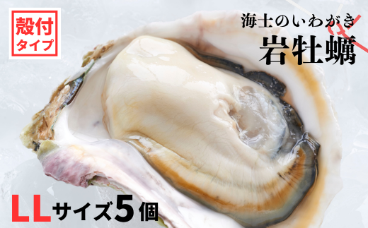 [のし付き いわがき 殻付きLLサイズ 5個]岩牡蠣 生食可 冷凍 牡蛎 牡蠣 かき カキ 岩牡蠣 いわがき 冷凍 父の日 母の日 バーベキュー ギフト