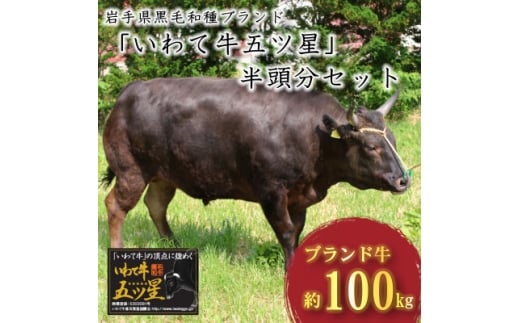 岩手県黒毛和種ブランド『いわて牛五ッ星』半頭分 精肉セット【1637913】