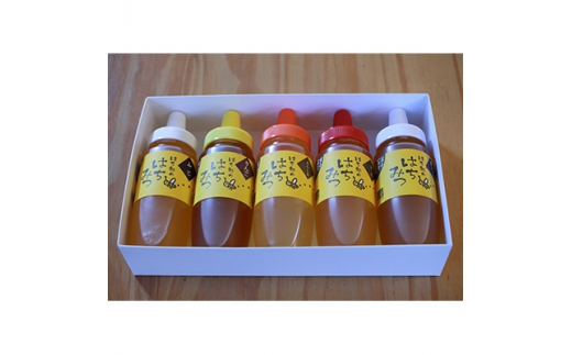 一戸町産はちみつ はち郎のはちみつ250g×5本箱入(あかしあ、りんご、さくら、くり、ふじ、とち)【1125977】