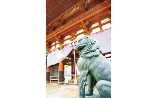 文化財の保護・保全