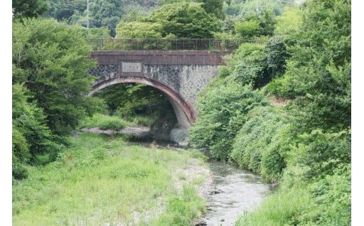 環境保全