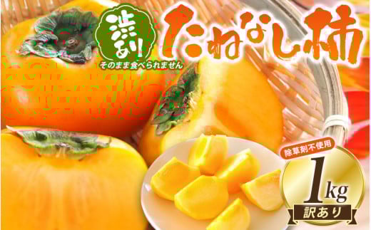 【訳あり・ご家庭用】柿農園「渋柿隊」が直送 たねなし柿「渋あり」訳あり 約1kg【9月下旬~11月上旬頃順次発送】