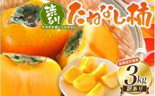 【訳あり・ご家庭用】柿農園「渋柿隊」が直送 たねなし柿「渋あり」訳あり 約3kg【9月下旬~11月上旬頃順次発送】