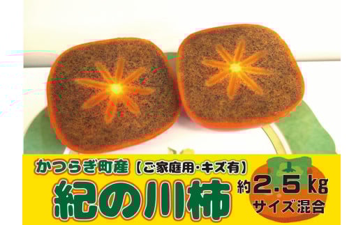 [訳あり・ご家庭用(傷有り)]かつらぎ町産 紀の川柿 約2.5kg [2025年10月中旬〜2025年11月中旬頃より順次発送]/ 訳あり 柿 かき フルーツ 果物 くだもの 食品 人気 おすすめ 送料無料