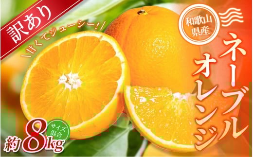 【訳あり】 森本農園の手選別ネーブルオレンジ 約8kg 和歌山県産 サイズ混合 【北海道・沖縄・離島配送不可】【2026年1月上旬~2月中旬頃に順次発送】
