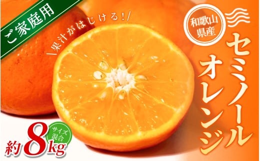 【家庭用】 森本農園の手選別 セミノールオレンジ 約8kg 和歌山県産 サイズ混合 【北海道・沖縄・離島配送不可】【2026年4月中旬~5月中旬頃に順次発送】
