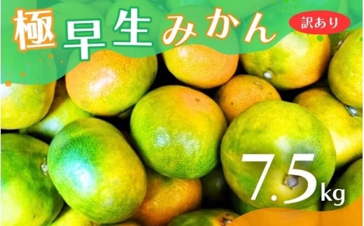 【訳あり】こだわりの極早生みかん 約7.5kg 【2025年10月上旬より順次発送予定(お届け日指定不可)】 有機質肥料100% サイズ混合  有田産【CE-nuk166A】