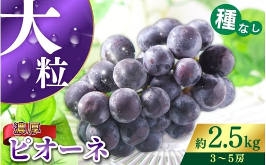 甘さとみずみずしさが自慢】種なしピオーネ<ぶどう約 2.5kg>★2026年8月下旬以降発送★容量違いもございます♪ / ぶどう ブドウ ピオーネ たねなし 和歌山県 かつらぎ町 フルーツ 果物