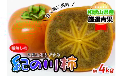 【和歌山県紀北地方の特産品！】紀の川柿(約4kg) 【10月中旬～11月中旬発送】