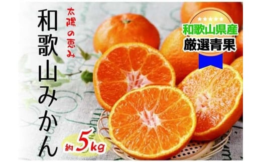 【太陽の恵み】和歌山みかん(約５kg) 【2025年12月上旬～2026年1月下旬発送】