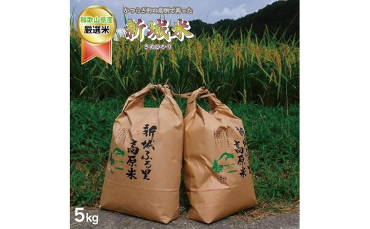 【特選】新城米(きぬひかり 約5kg)＜2025年収穫＞【2025年9月下旬から2026年1月下旬に順次発送】【A105-frks039】