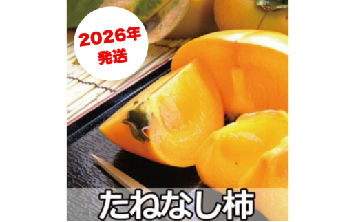 採れたてタネなし柿“Lサイズ” 約7.5kg【2026年10月中旬～10月下旬頃発送予定】【ART17】