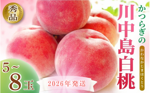☆2026年先行予約☆ 和歌山県産 川中島白桃 5~8玉入り 秀品 【2026年7月下旬から8月中旬ごろ発送】/ 桃 白桃 もも モモ 桃 デザート フルーツ 果物 くだもの 果実 食品 旬 先行予約