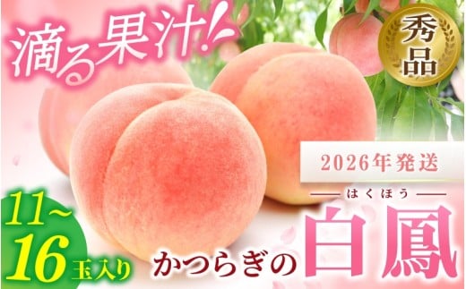 ☆2026年先行予約☆ 和歌山県産 白鳳 桃 11〜15玉入り 秀品[2026年6月下旬から7月下旬ごろ発送]/ かつらぎ町 和歌山県産 桃 モモ 白鳳 フルーツ 果物 くだもの 人気 産地直送 厳選 甘い 予約