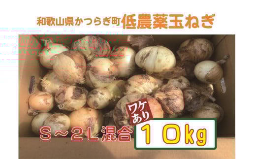 【2026年発送分・先行予約】【訳あり】農家さん直送 低農薬玉ねぎ 約10kg S~2L混合 【ご家庭用※傷有り】【2026年4月中旬~7月中旬発送予定】